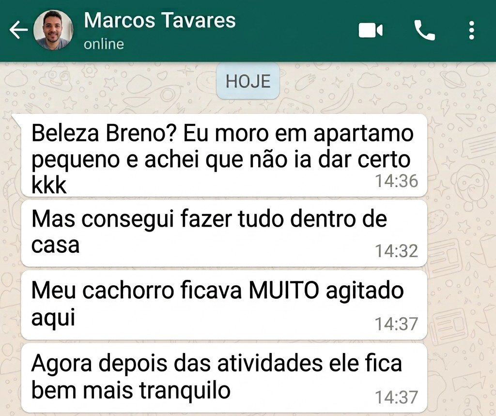 Tutora satisfeita com o Desafio Cão Calmo