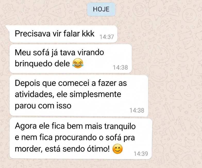 Tutor satisfeito com o Desafio Cão Calmo