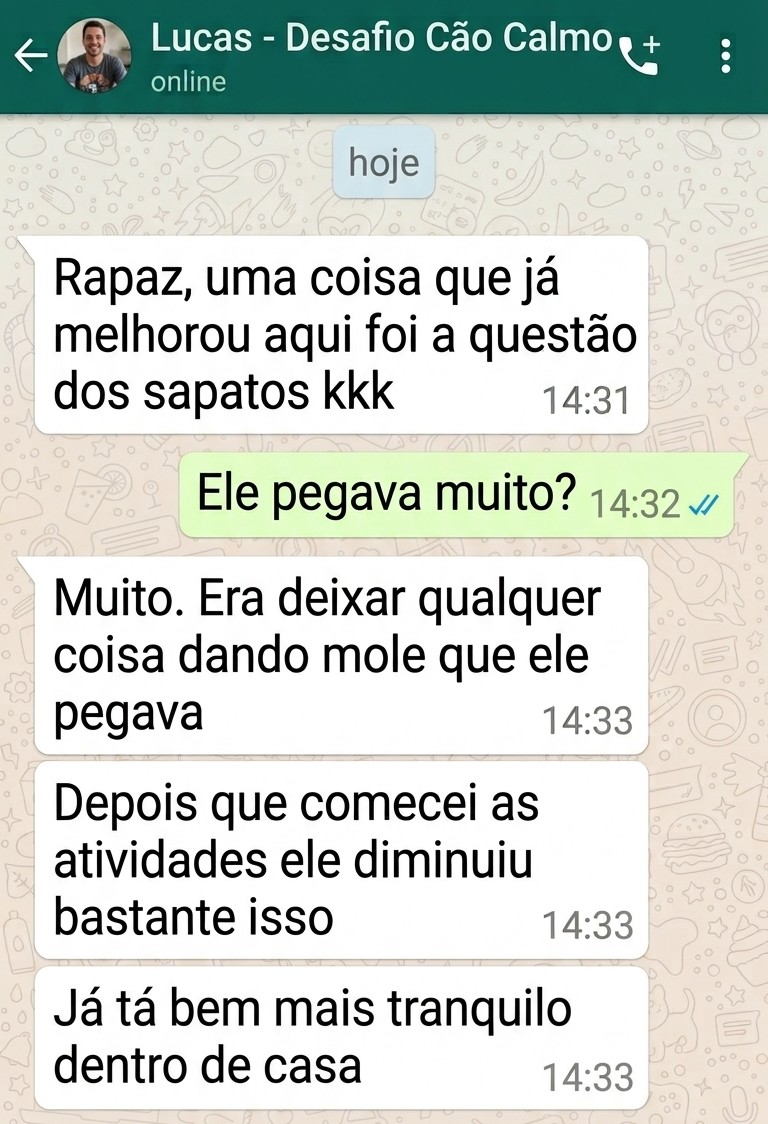Tutor satisfeito com o Desafio Cão Calmo