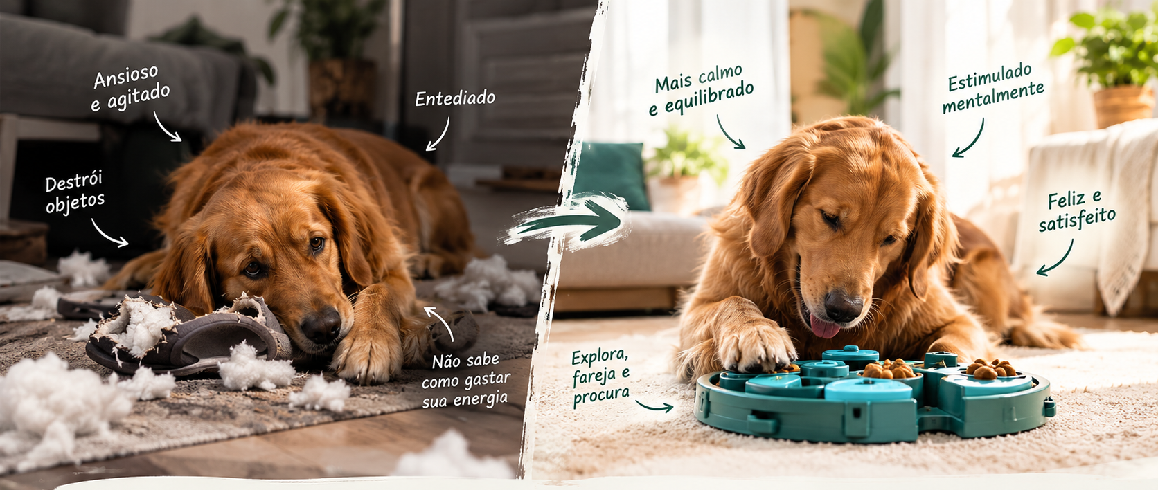 Cachorro usando o faro em atividade de enriquecimento mental